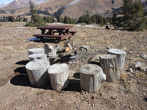 Picnic table and fire ring