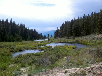 Beaver Pond